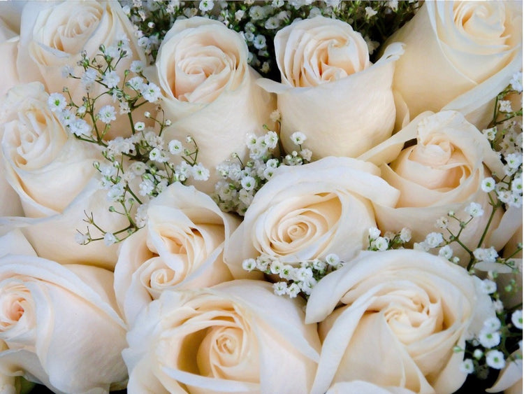 The Wedding Collection