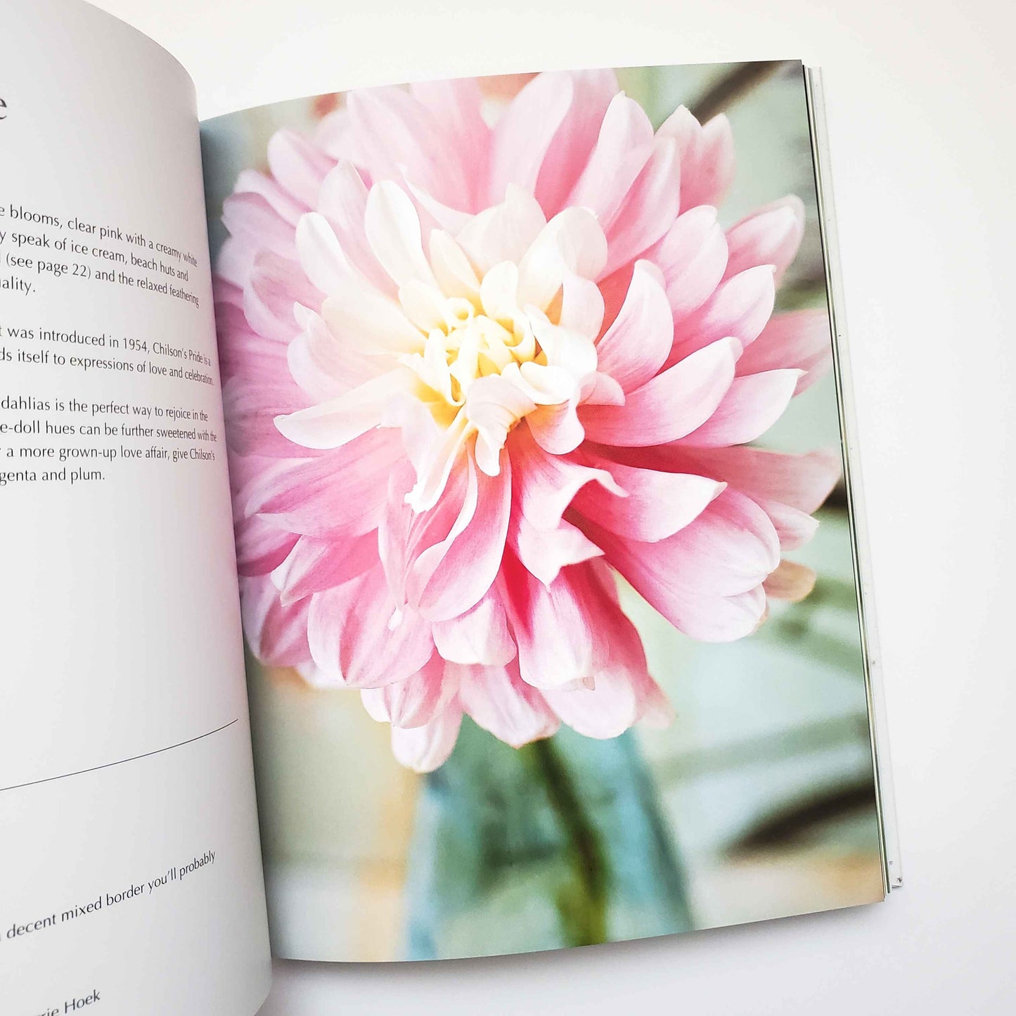 Dahlias: Beautiful Varieties for Home and Garden by Naomi Slade