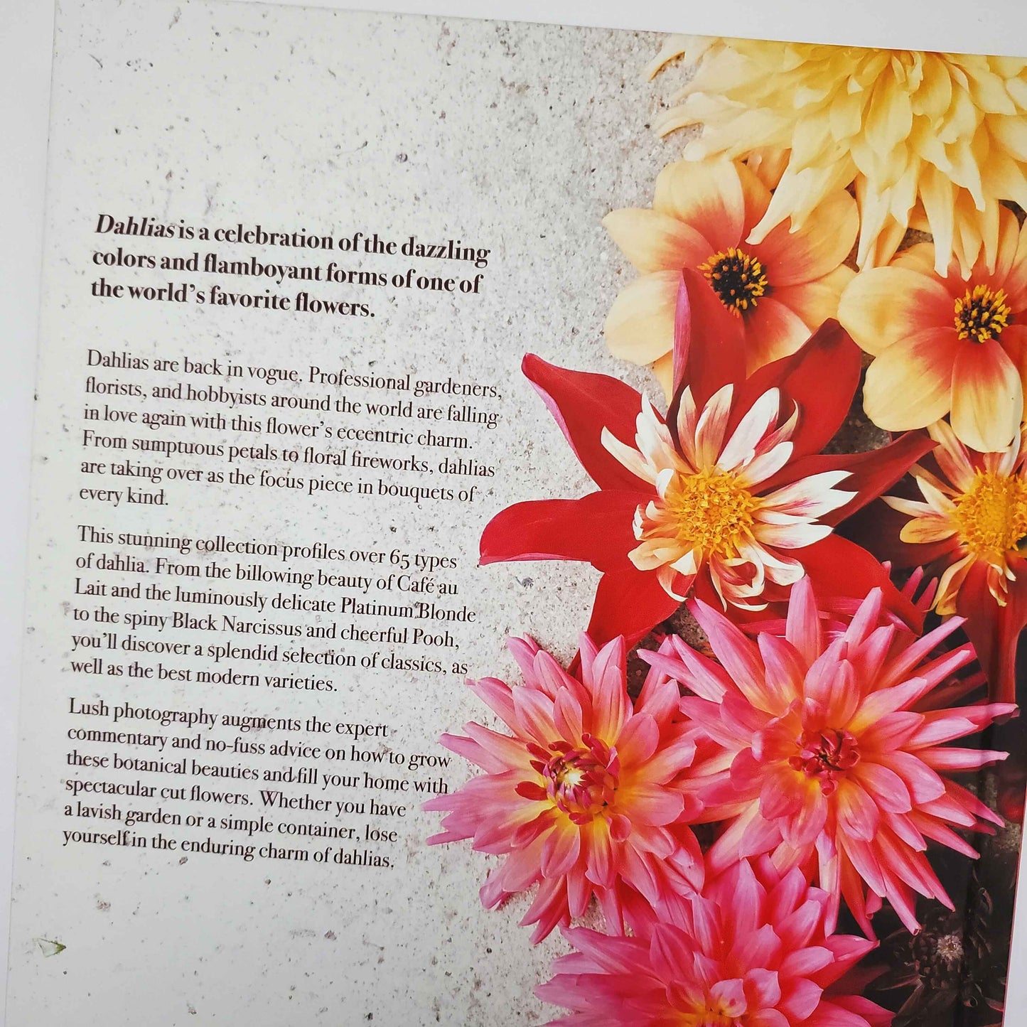 Dahlias: Beautiful Varieties for Home and Garden by Naomi Slade