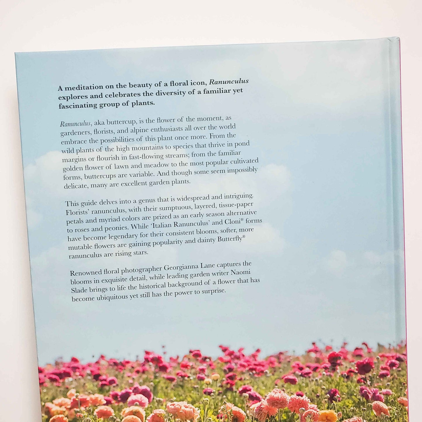 Ranunculus: Beautiful Varieties for Home and Garden by Naomi Slade