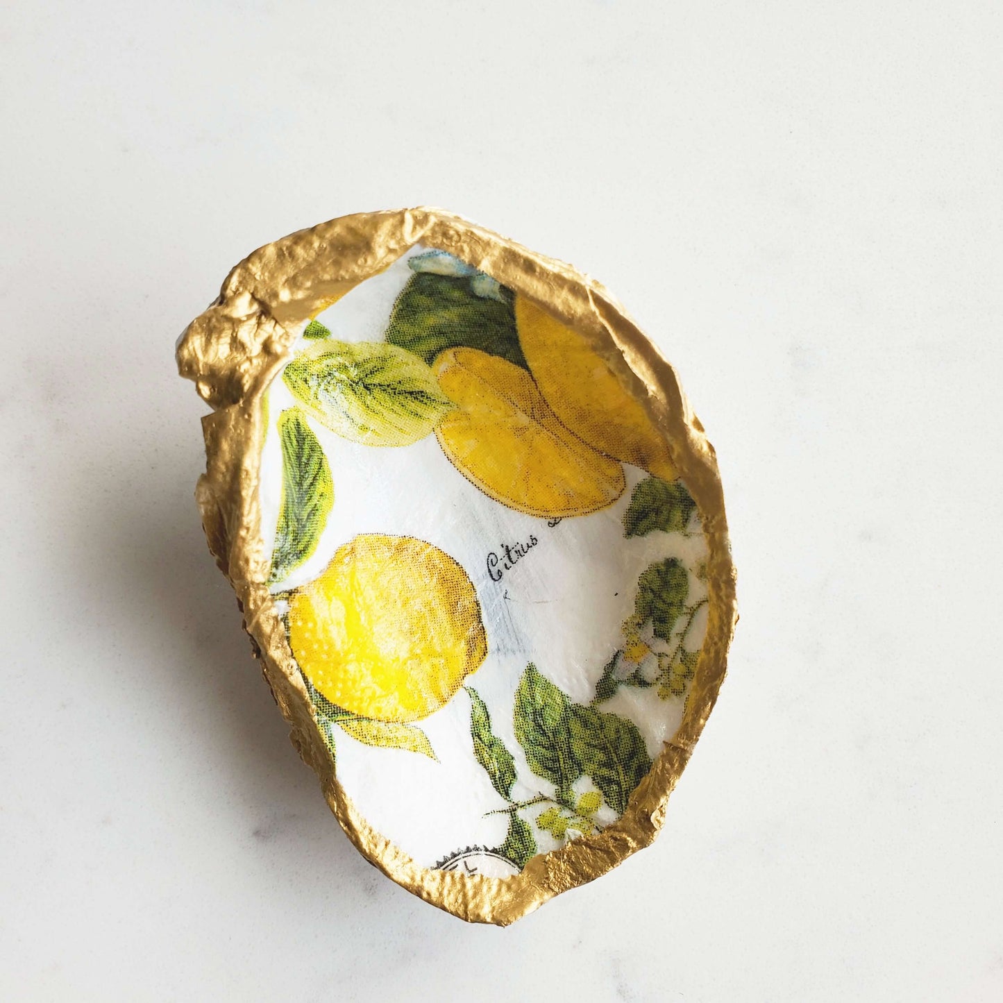 Lemon Oyster Shell Jewelry Dish