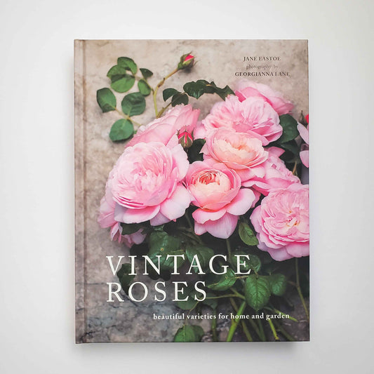 Vintage Roses: Beautiful Varieties for Home and Garden by Naomi Slade